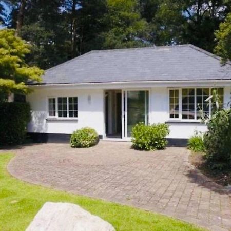 Chadham Pines Cottage Poole Exteriér fotografie