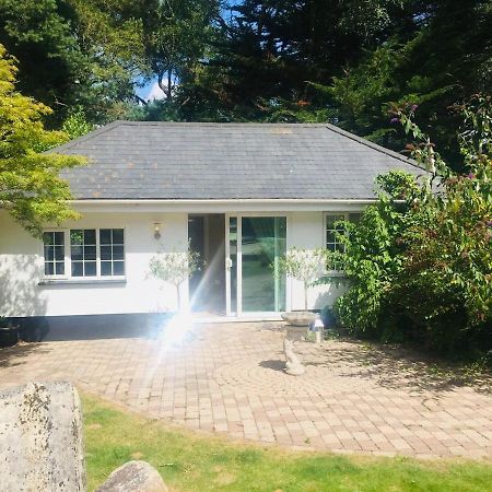 Chadham Pines Cottage Poole Exteriér fotografie